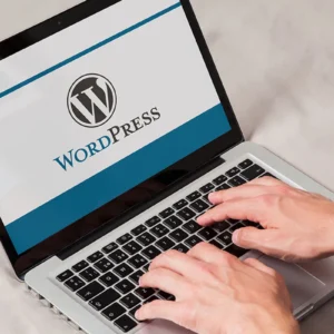 wordpress website management